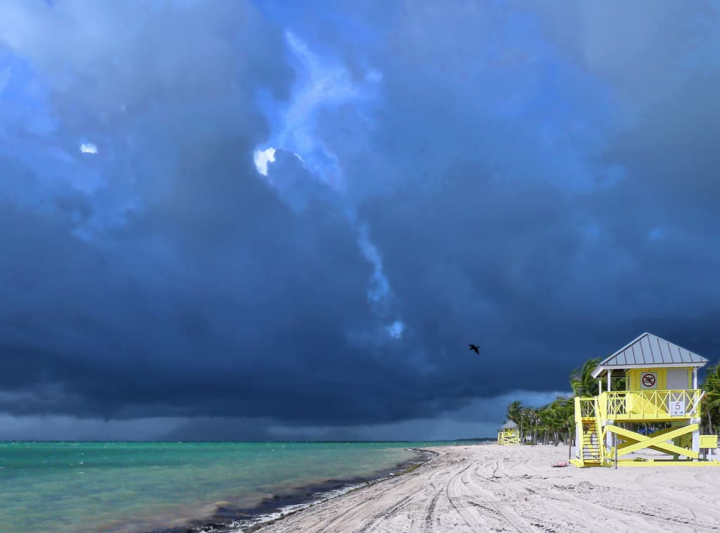 Así estará el clima en Miami este miércoles: calor, humedad y chance de lluvias en la tarde