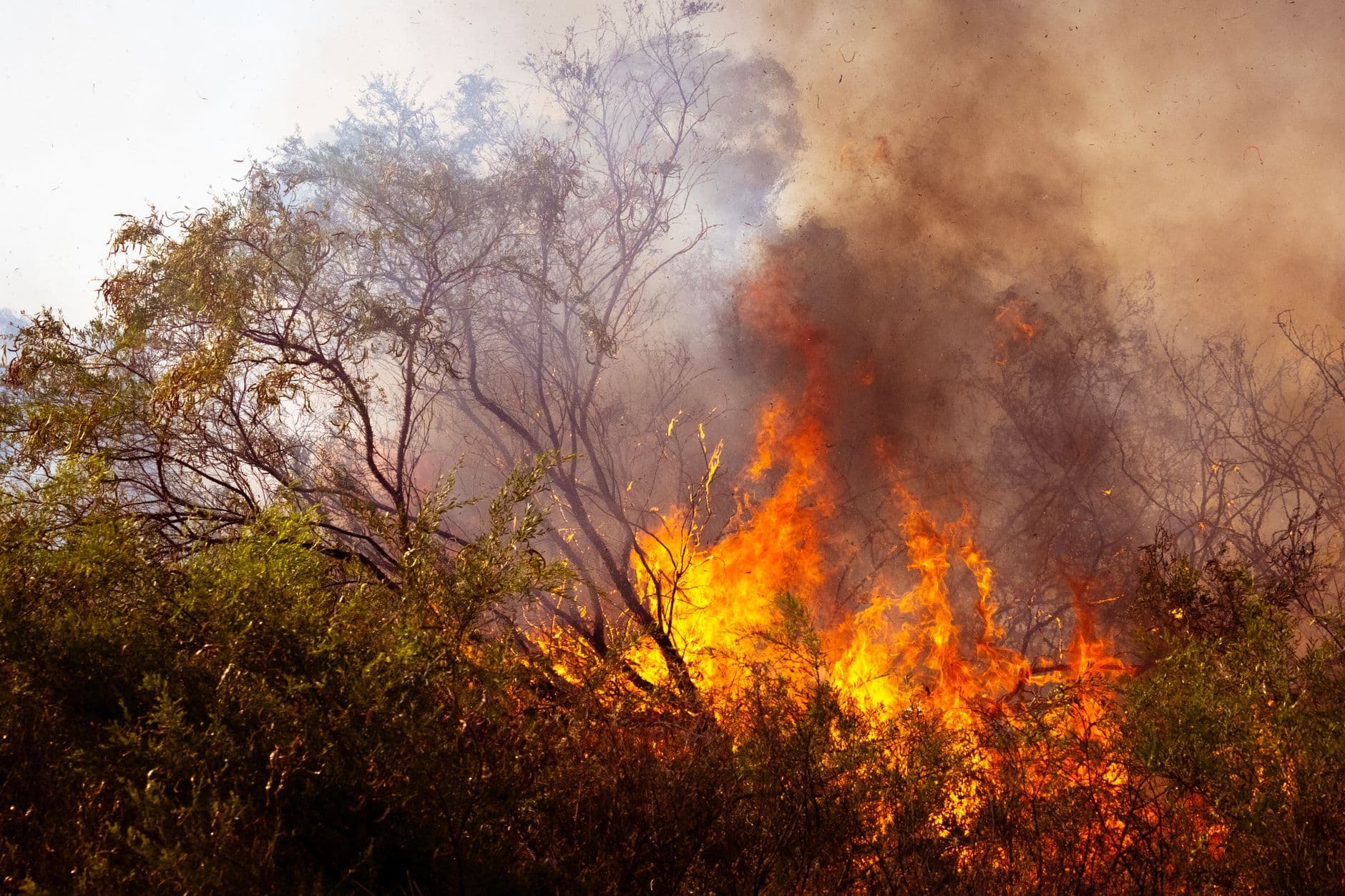 El calor extremo dispara decenas de emergencias médicas, según nuevo estudio
