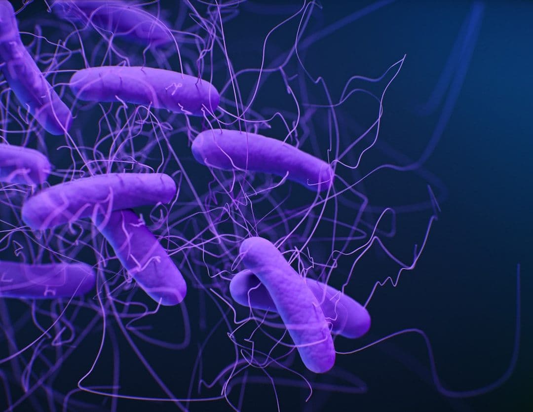 El microbioma oral, la nueva frontera de la salud: qué comer para cuidar las bacterias buenas de la boca