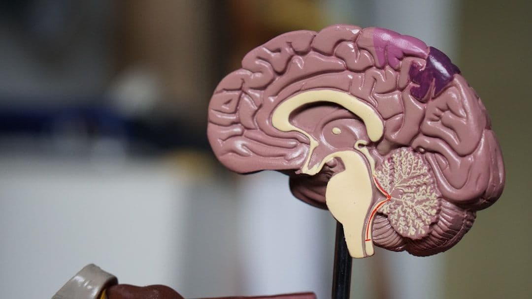 La música como terapia: cinco claves científicas para cuidar el cerebro y las emociones