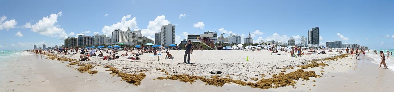 Miami Beach vuelve a ofrecer estacionamiento a un dólar hasta octubre
