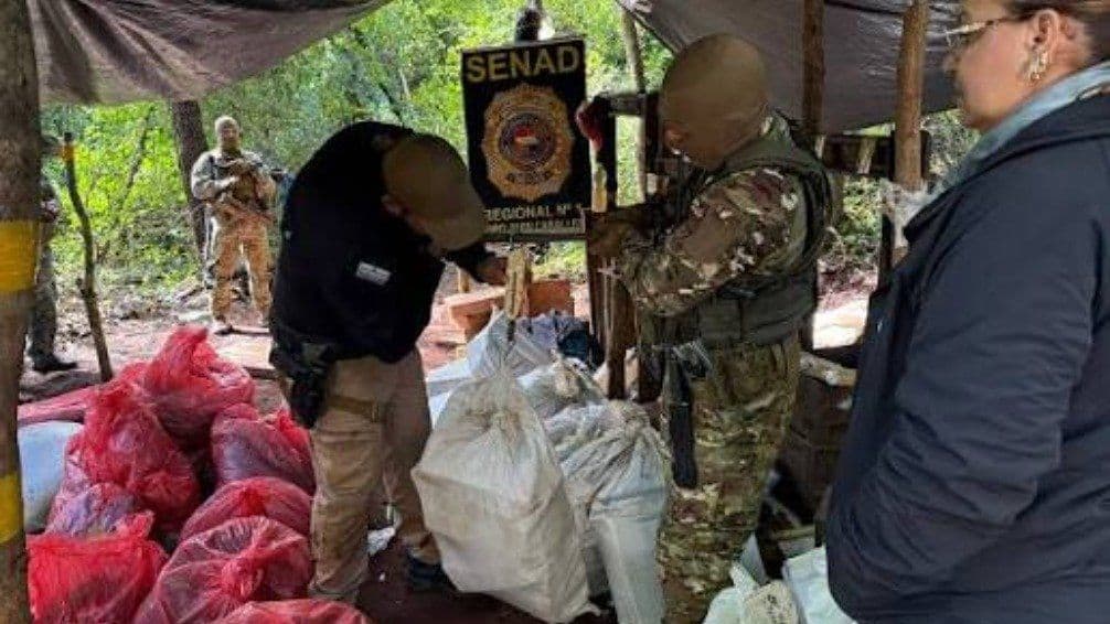 Paraguay destruyó casi ocho toneladas de marihuana destinadas a Brasil en un operativo contra el narcotráfico